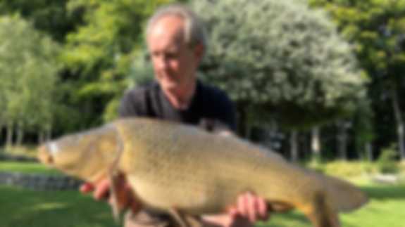 A Common fish caught by a fisherman on a sunny day.