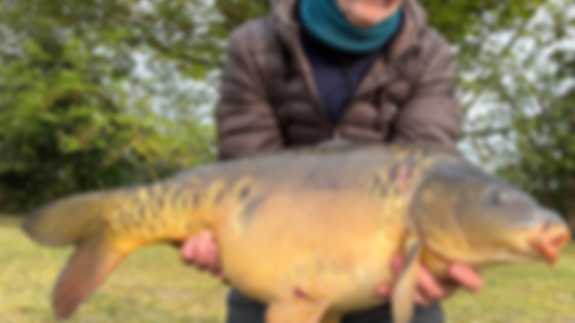 A fisherman poses with a Mirror fish he has caught. He is wearing a brown jacket.