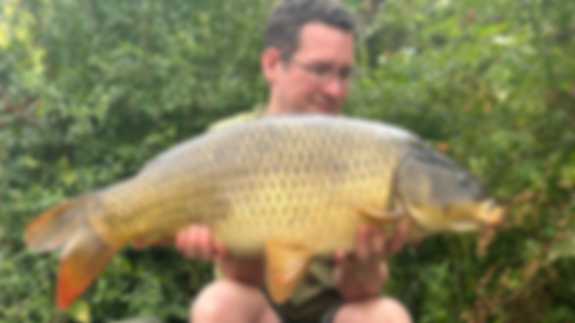 A fisherman poses with a Common Carp fish he has caught.