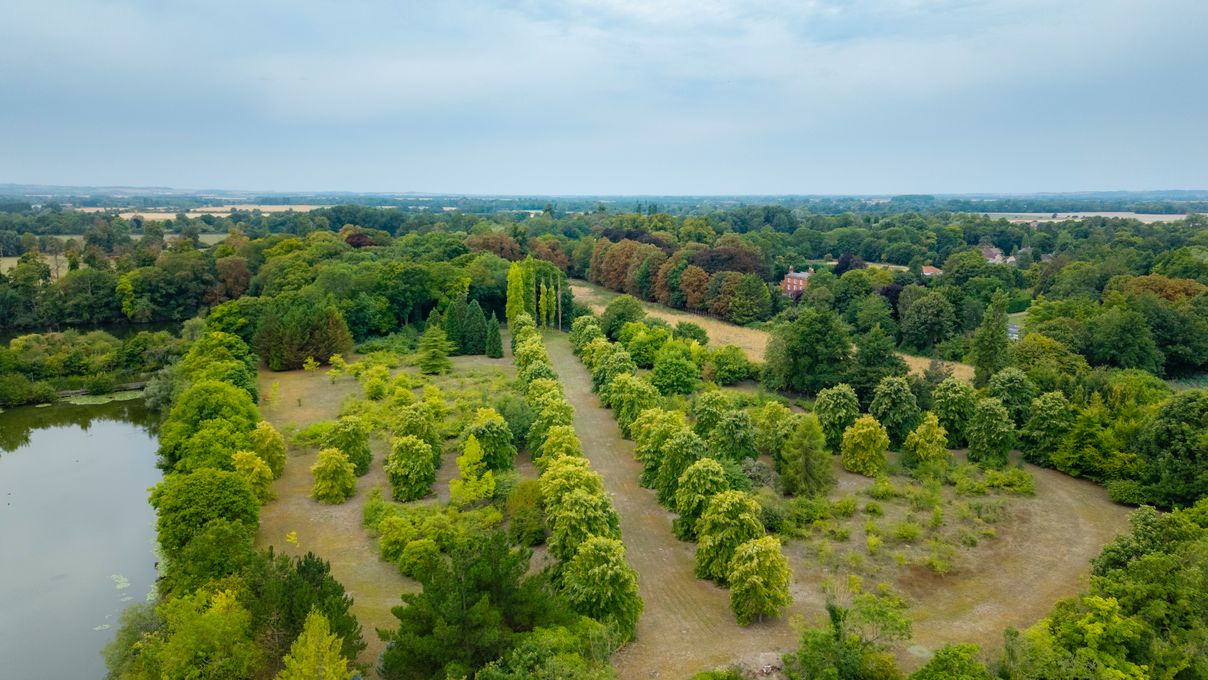 A view of the tree-lined paddock from the air