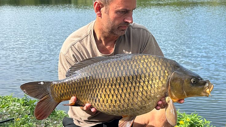 Fish | Shepreth Lake