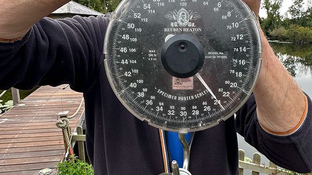 A close-up of weighing scales whilst weighing a caught fish