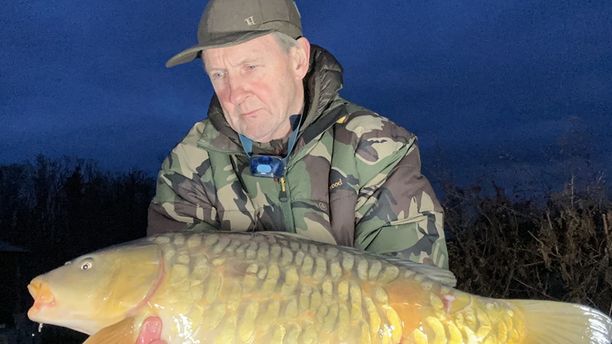 A man stands at twilight, holding a large carp. The carp has a golden yellow hue with scattered, large, mirror-like scales across its body. A serene blue twilight sky forms the backdrop.